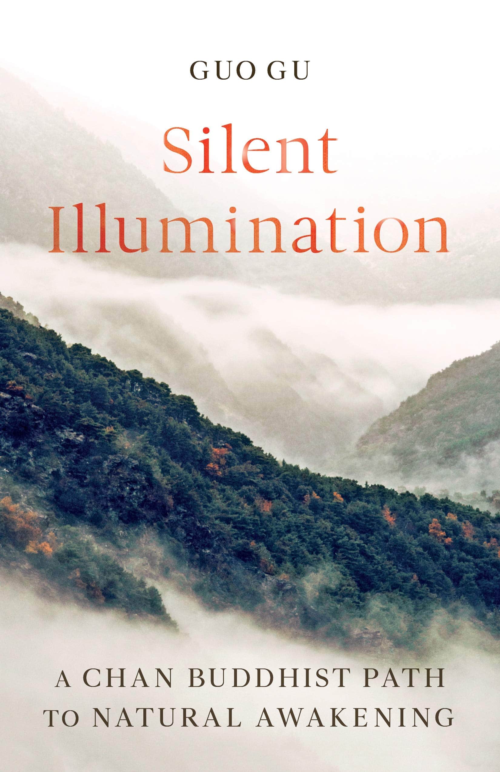 silent illumination